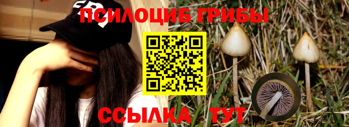 Галлюциногенные грибы ЛСД  Галлюциногенные грибы мухоморы  Кубинка  Вход с VPN 